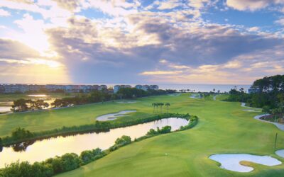 PALMETTO DUNES RESORT