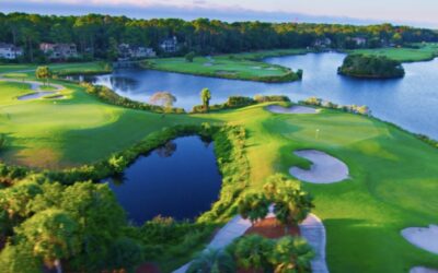 PALMETTO DUNES