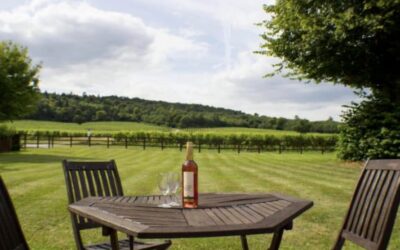 DENBIES VINEYARD HOTEL