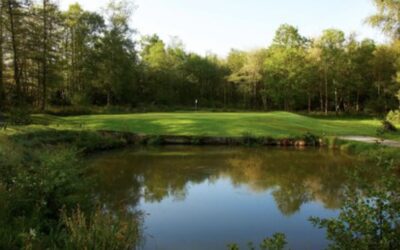 LINGFIELD PARK MARRIOTT HOTEL & COUNTRY CLUB